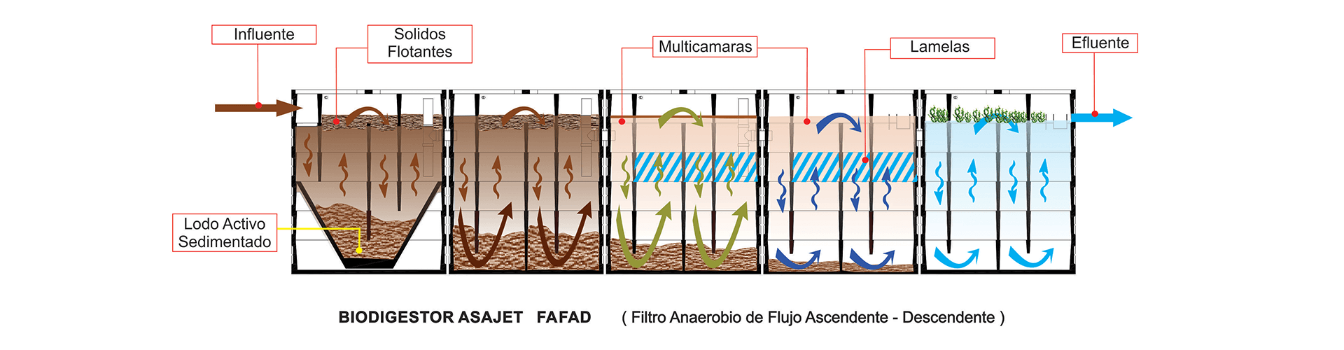 biodigestores-asajet-fafad