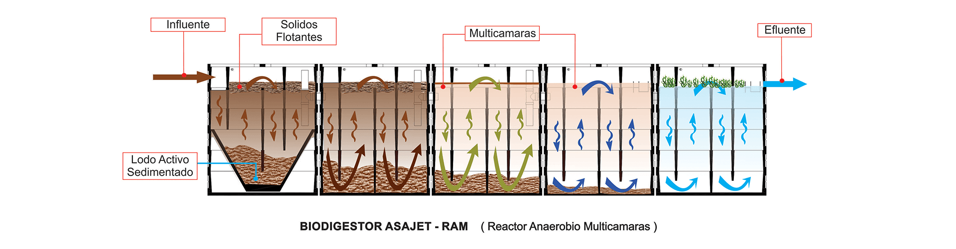 biodigestores-asajet-ram